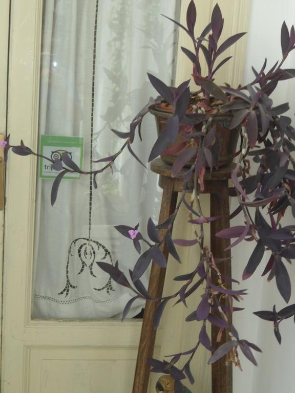 Rosella Bianchi Bed & Breakfast Palermo Room photo